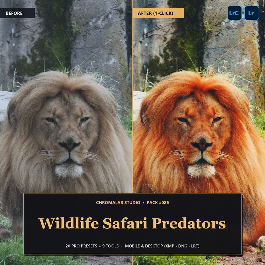 Wildlife, Pets, Sports & Action
