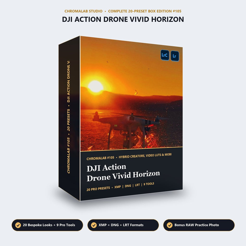 DJI Action Drone Vivid Horizon - 3D Software Box