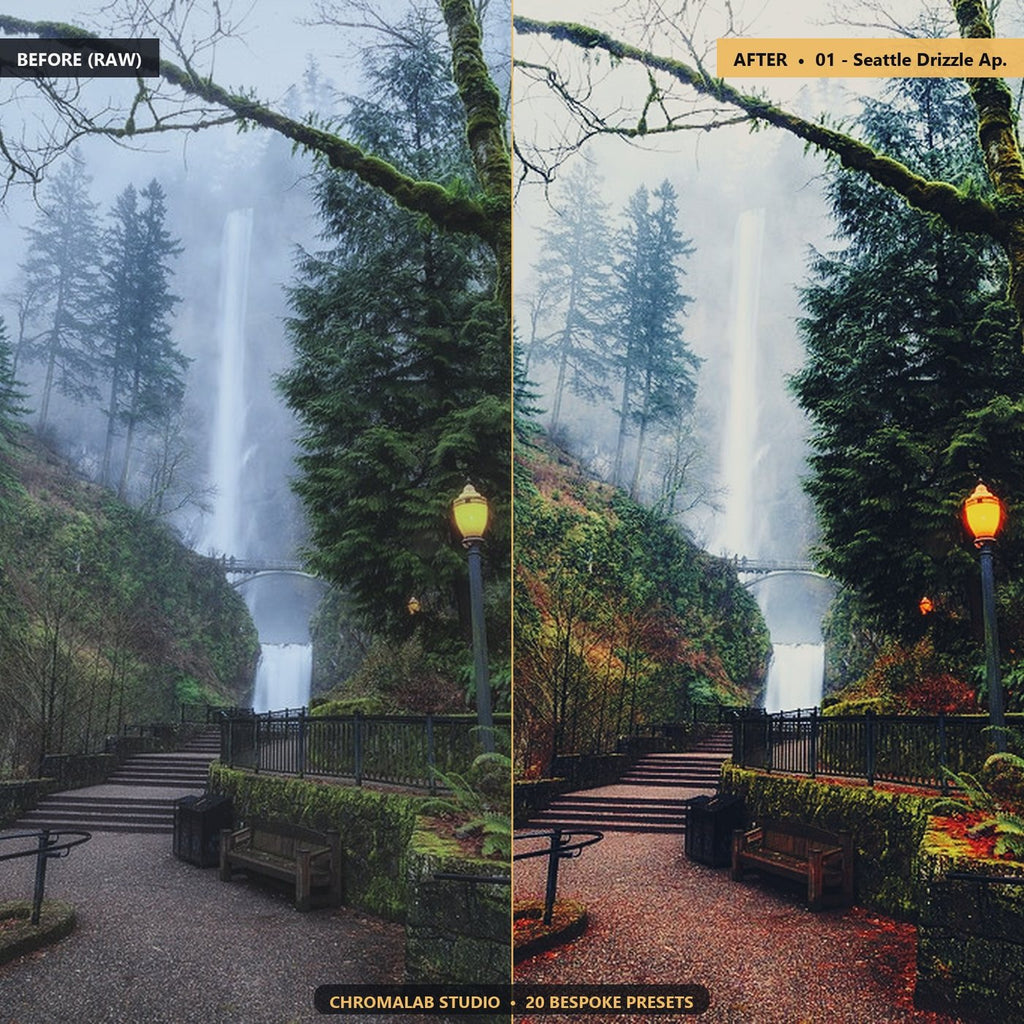 Pacific Northwest Misty Rain - Before & After Split