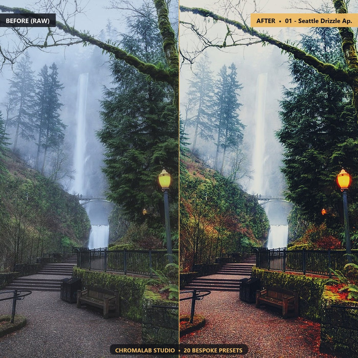 Pacific Northwest Misty Rain - Before & After Split