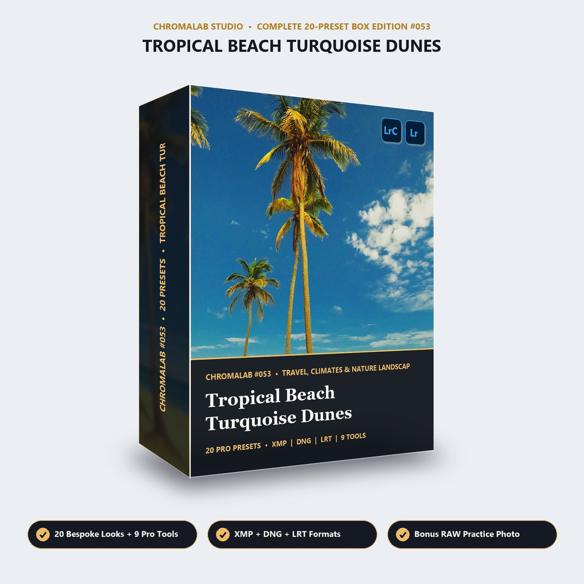Tropical Beach Turquoise Dunes - 3D Software Box
