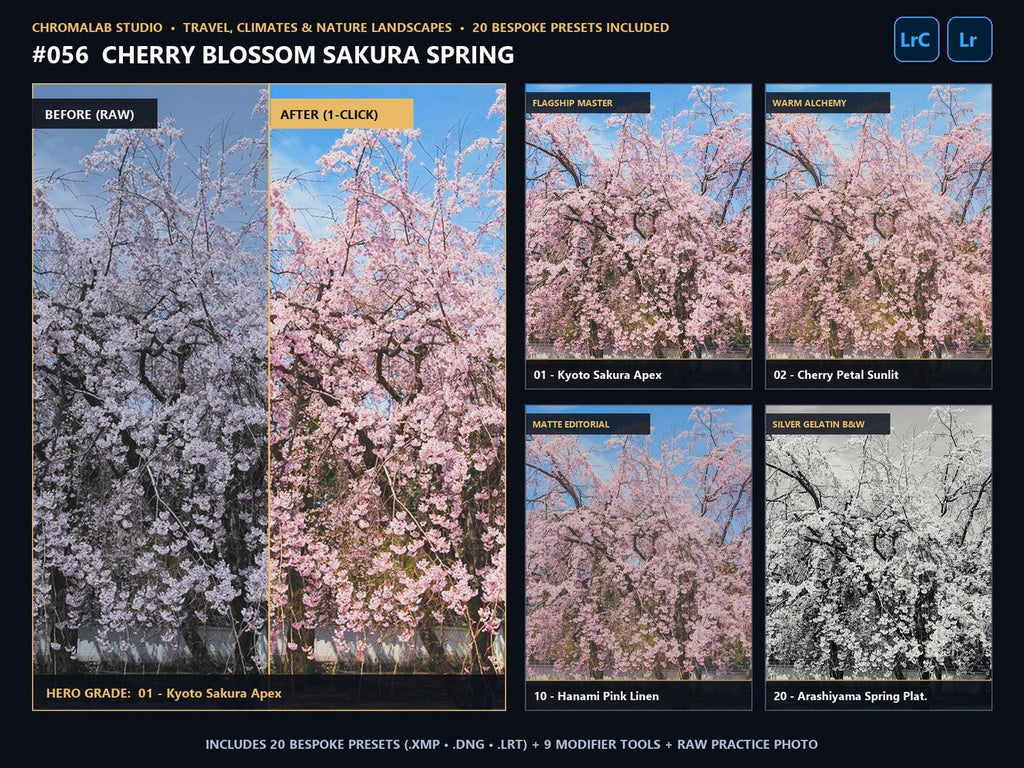 Cherry Blossom Sakura Spring - 20-Preset Lookbook & Before/After
