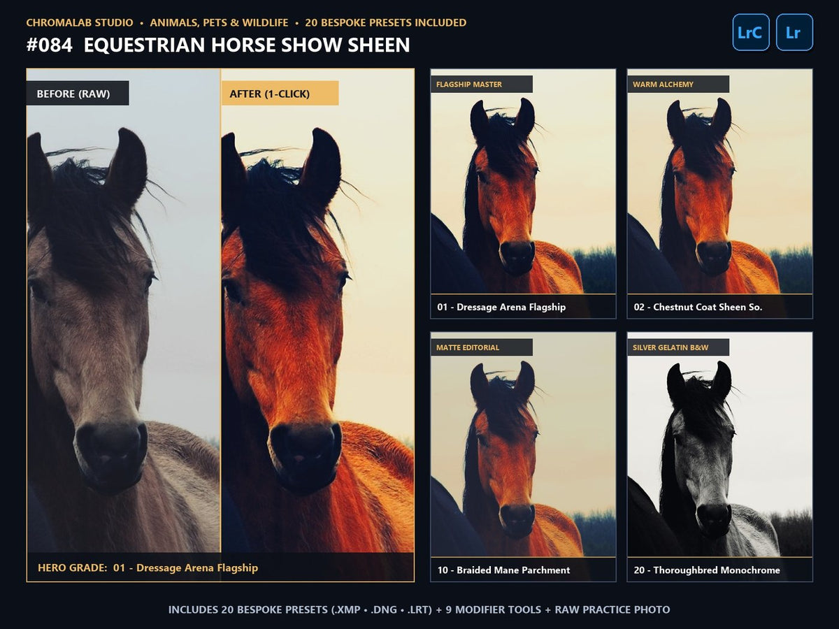 Equestrian Horse Show Sheen - 20-Preset Lookbook & Before/After