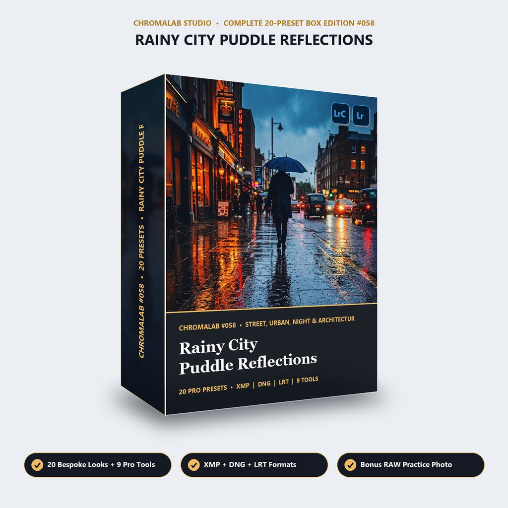 Rainy City Puddle Reflections - 3D Software Box