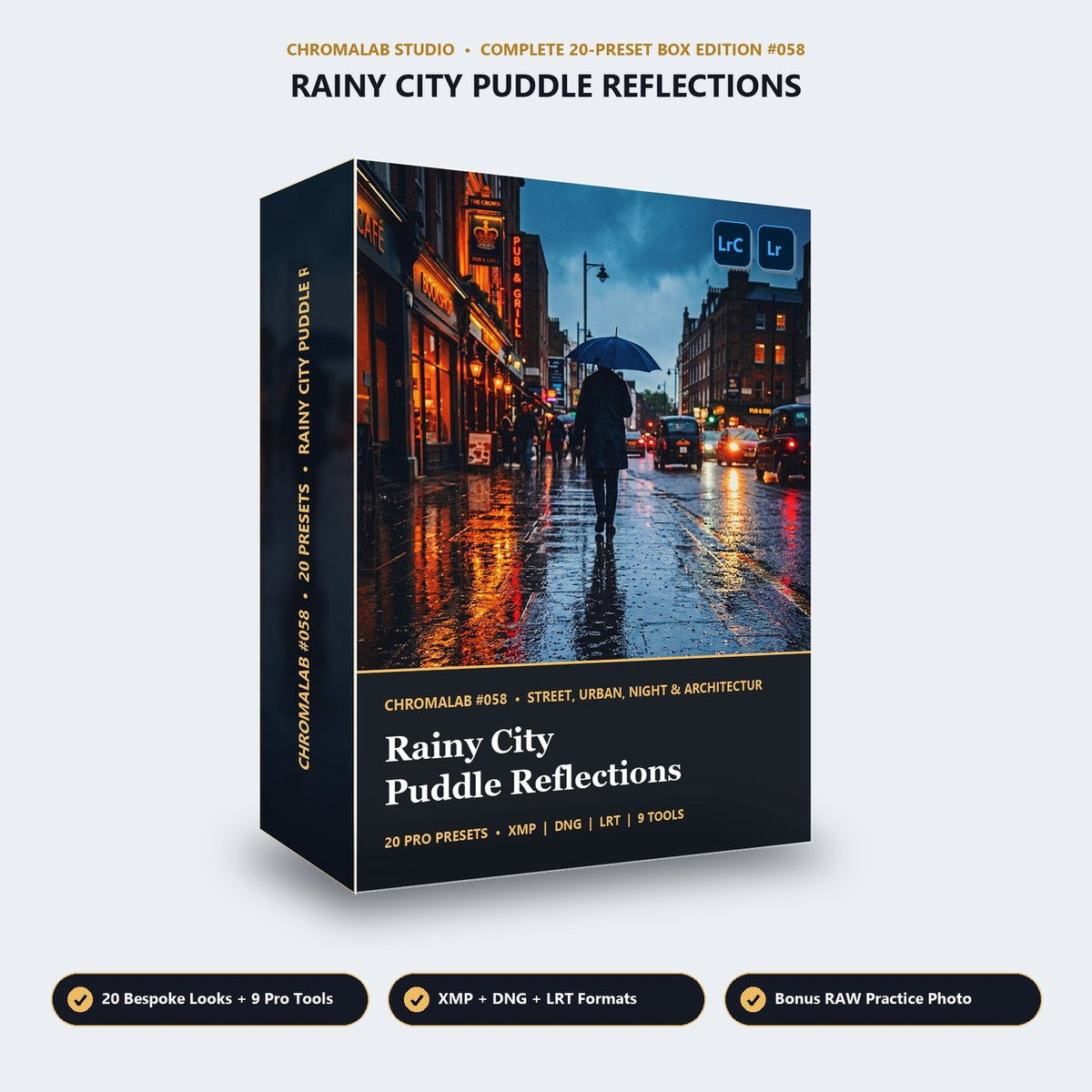 Rainy City Puddle Reflections - 3D Software Box