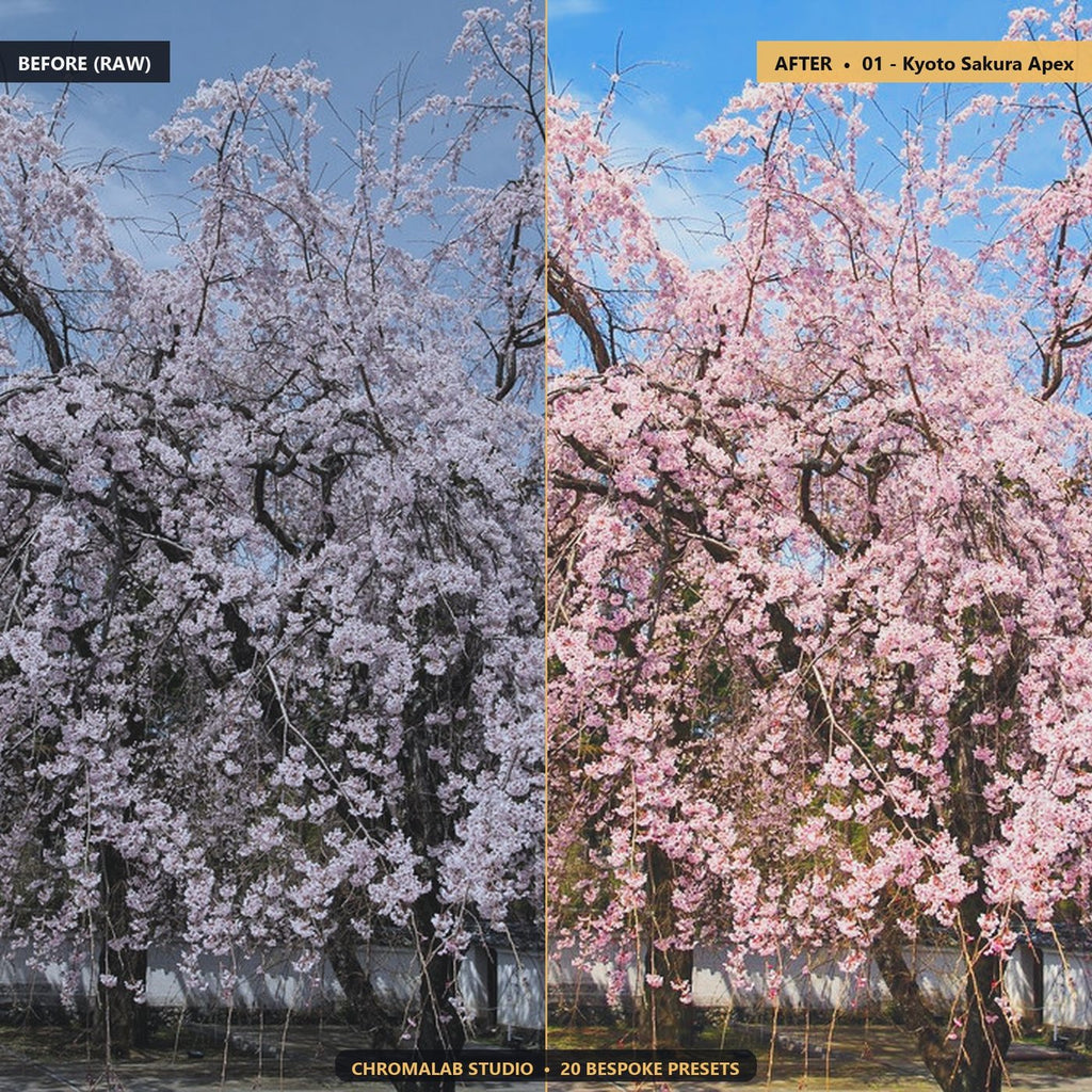 Cherry Blossom Sakura Spring - Before & After Split