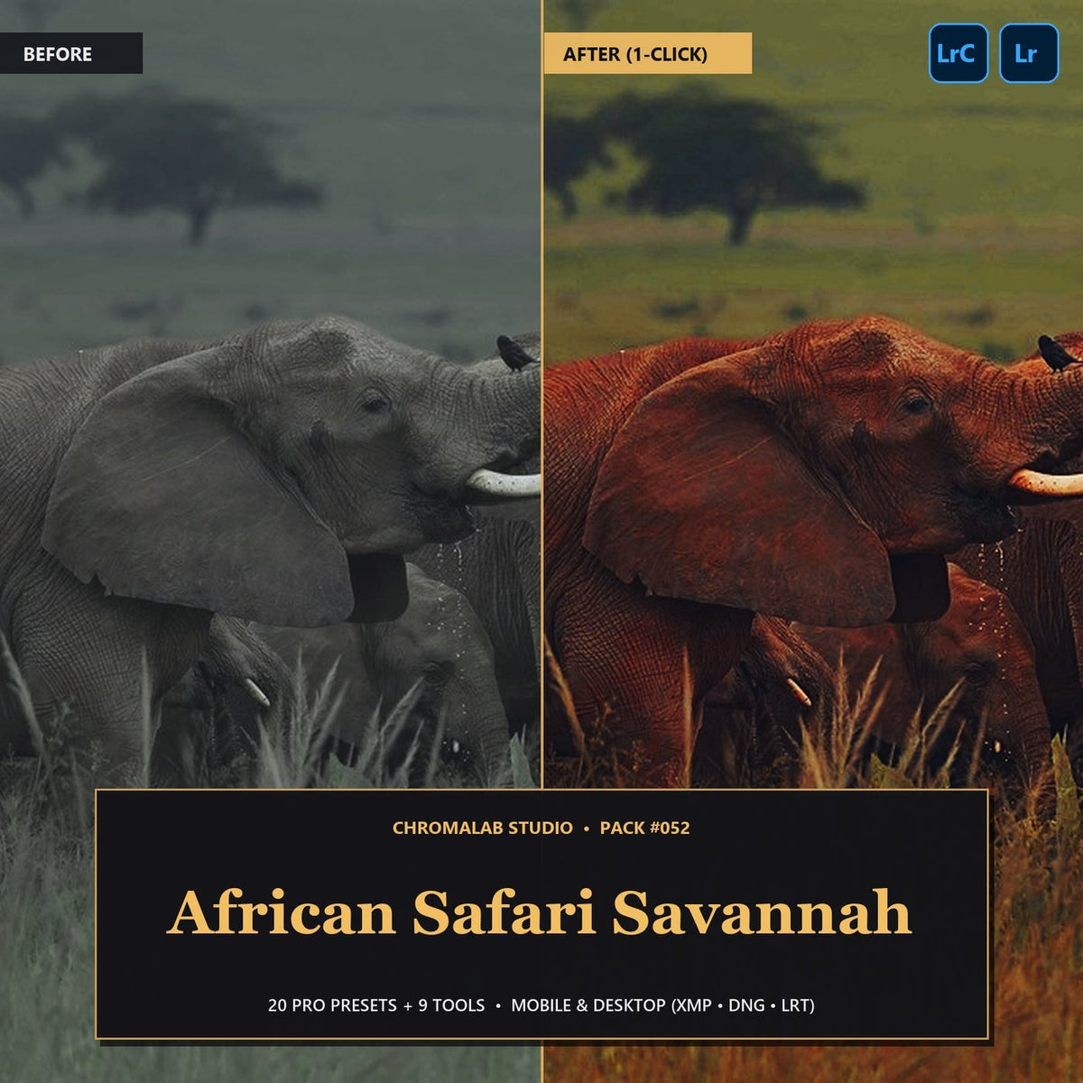 African Safari Savannah — 20 Lightroom Presets (Mobile & Desktop) - Cover