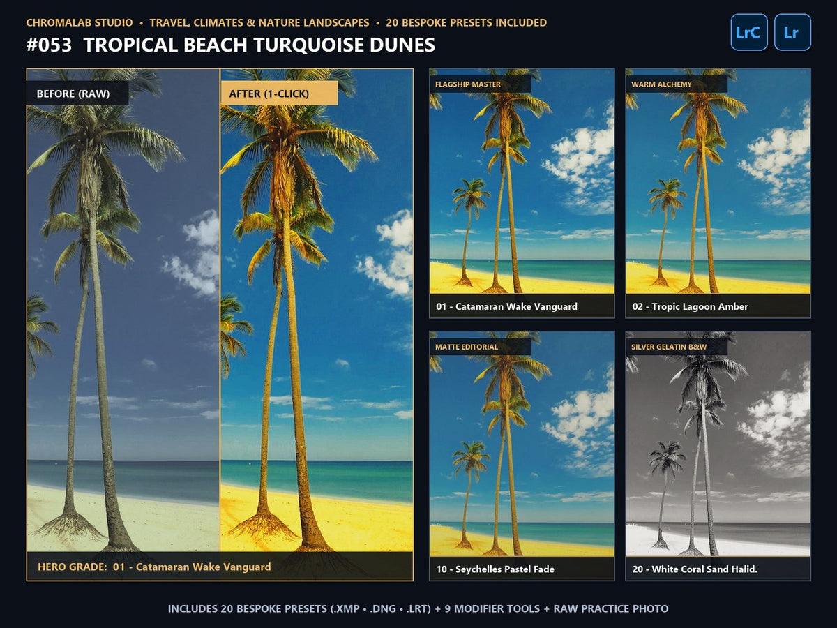 Tropical Beach Turquoise Dunes - 20-Preset Lookbook & Before/After