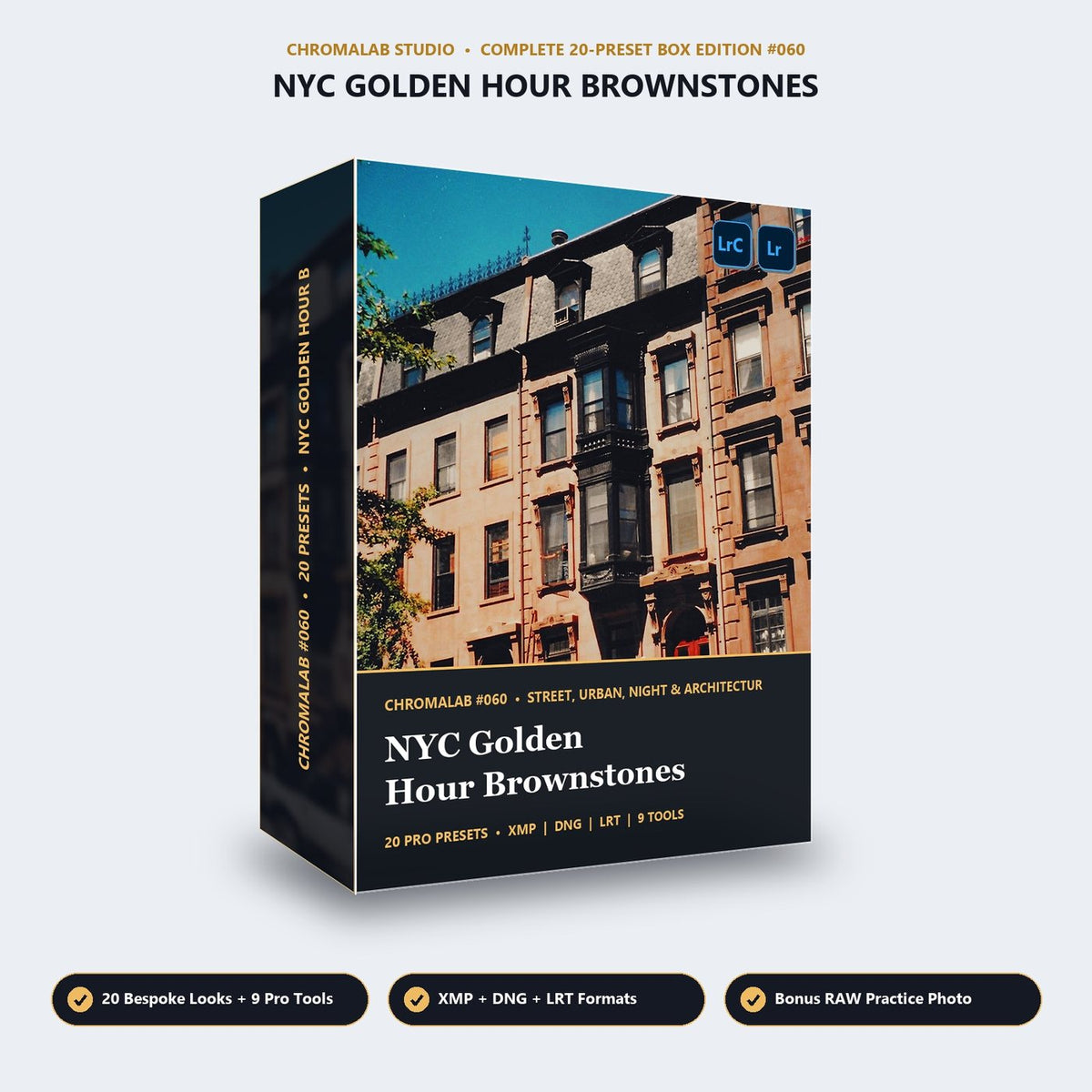 NYC Golden Hour Brownstones - 3D Software Box