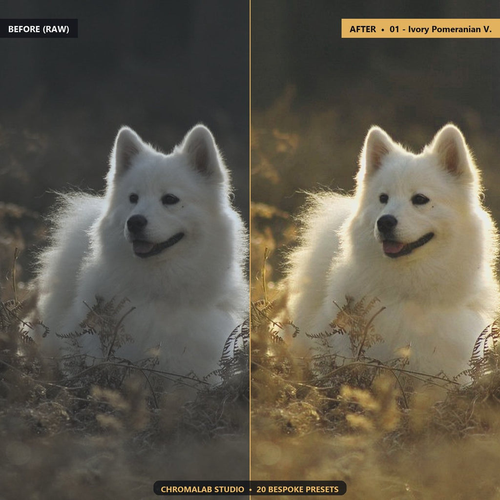 White Pet Fur Highlight Recovery - Before & After Split