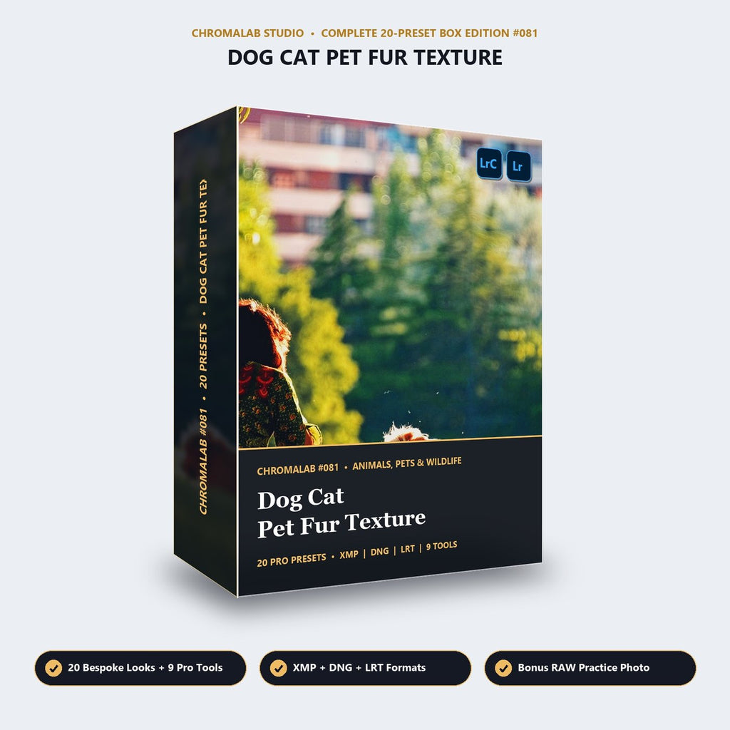 Dog Cat Pet Fur Texture - 3D Software Box