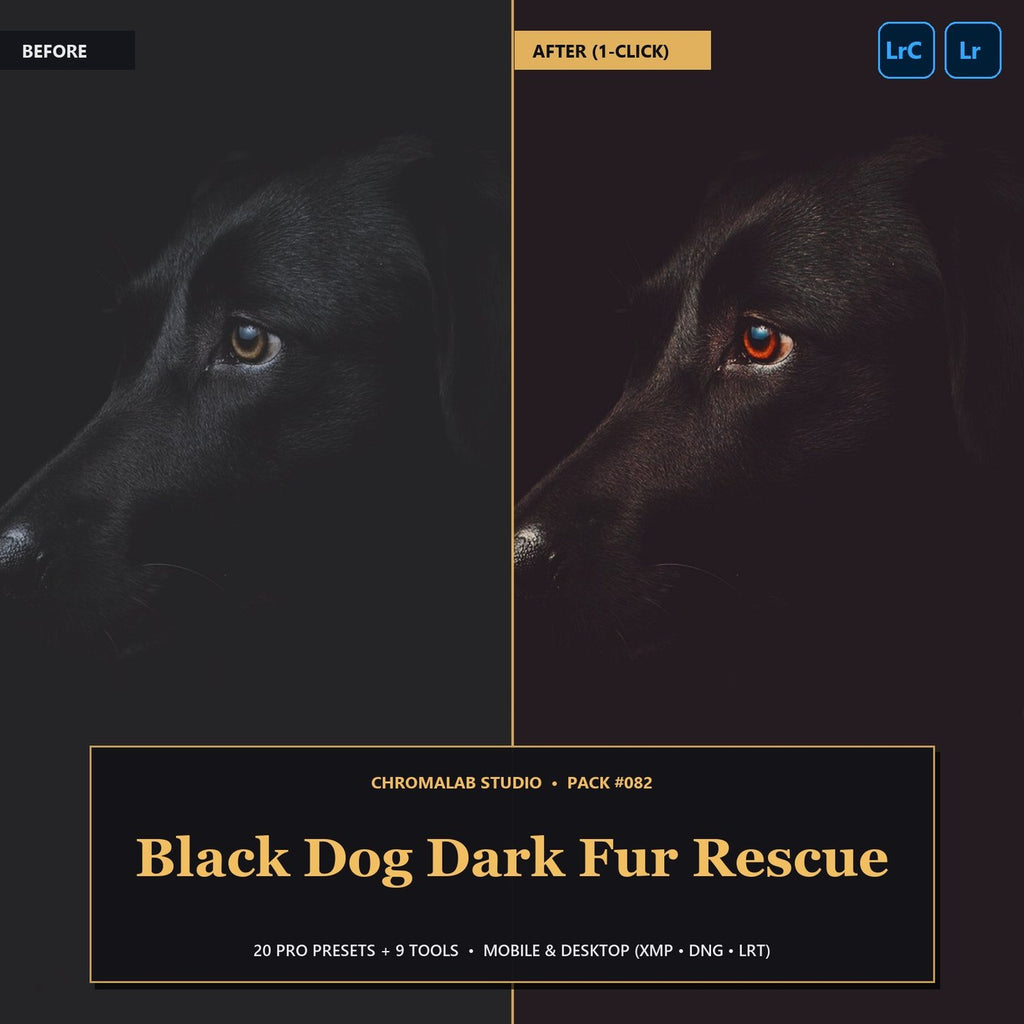 Black Dog Dark Fur Rescue — 20 Lightroom Presets (Mobile & Desktop) - Cover