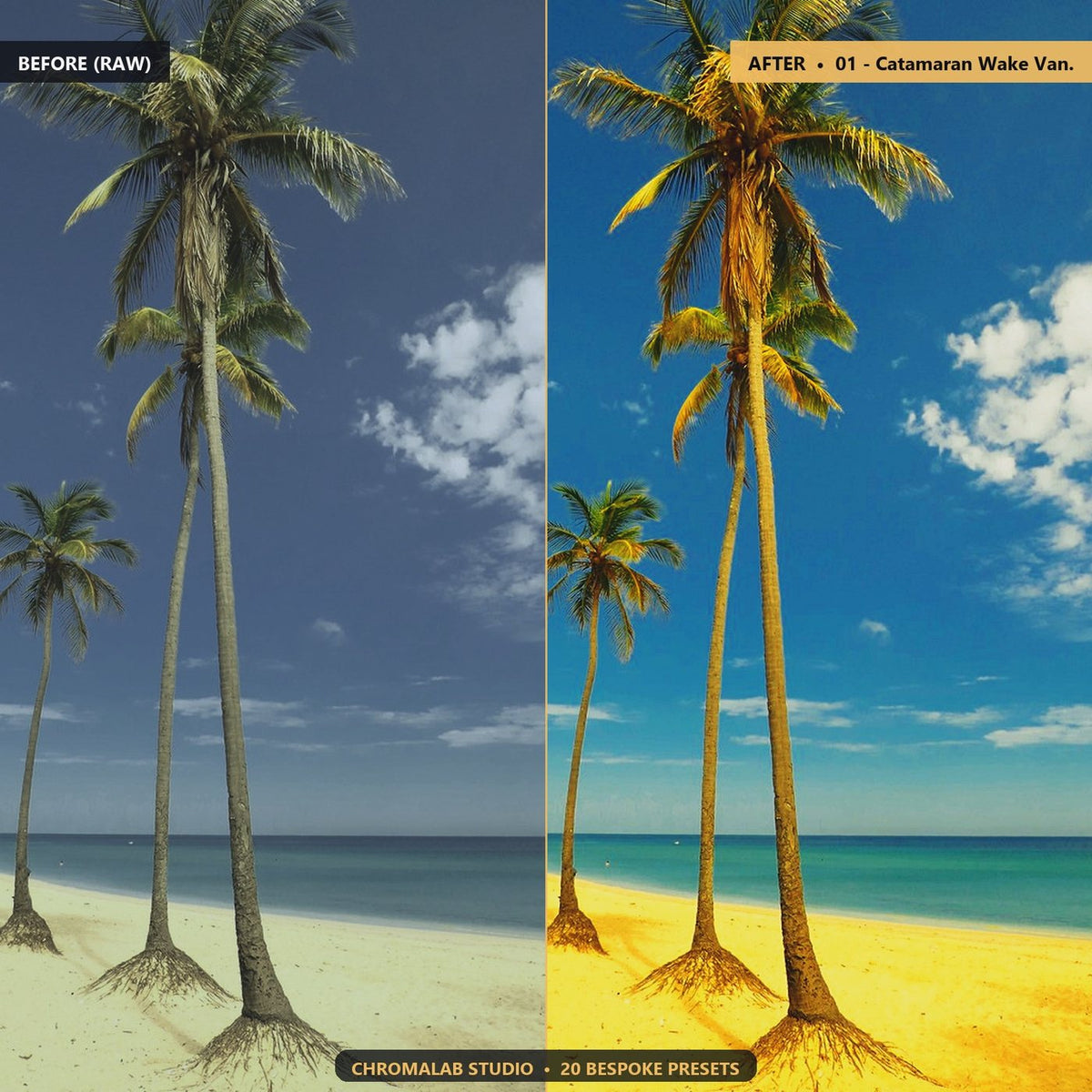 Tropical Beach Turquoise Dunes - Before & After Split
