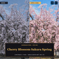 Cherry Blossom Sakura Spring — 20 Lightroom Presets (Mobile & Desktop) - Cover