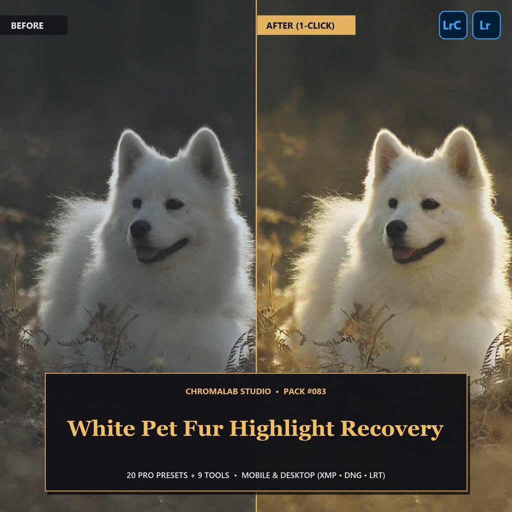 White Pet Fur Highlight Recovery — 20 Lightroom Presets (Mobile & Desktop) - Cover