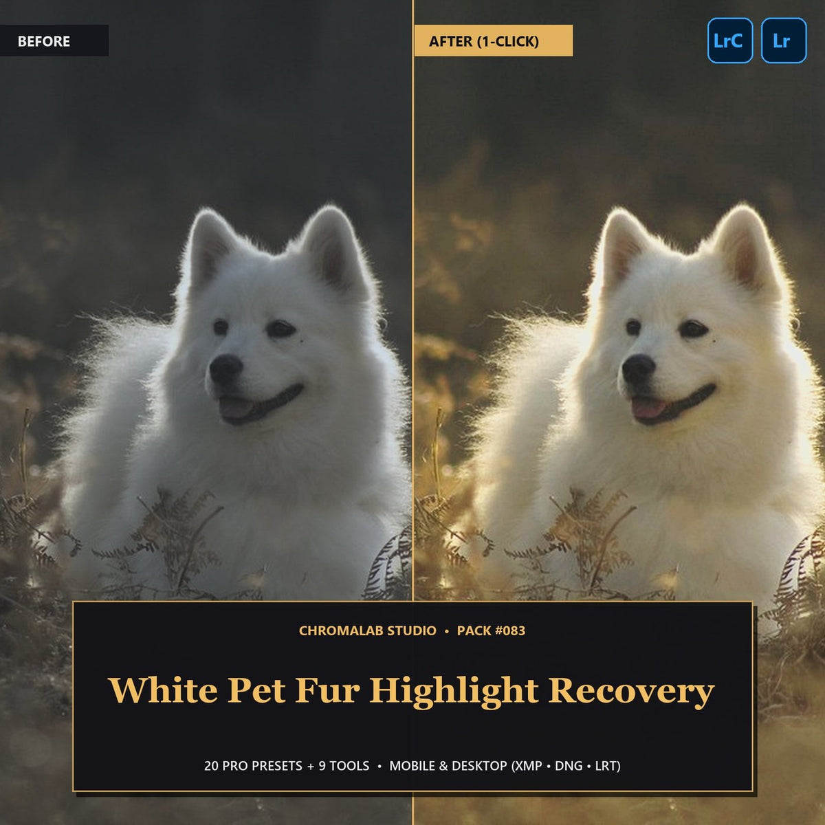 White Pet Fur Highlight Recovery — 20 Lightroom Presets (Mobile & Desktop) - Cover
