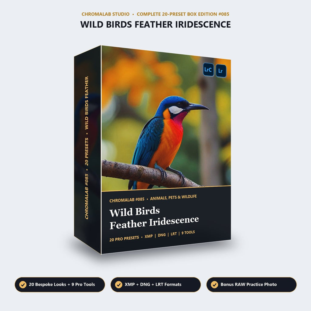 Wild Birds Feather Iridescence - 3D Software Box
