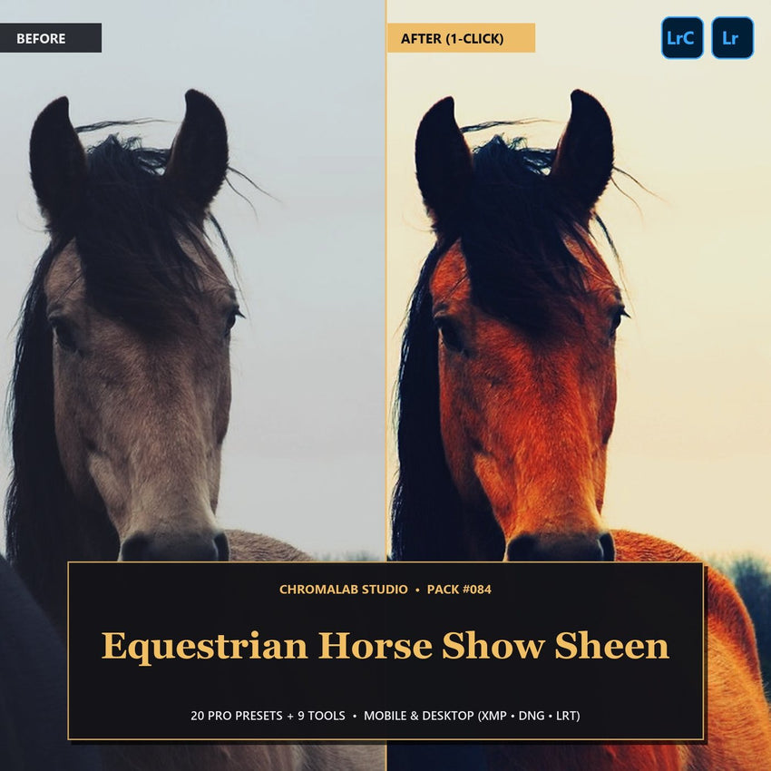 Equestrian Horse Show Sheen — 20 Lightroom Presets (Mobile & Desktop)
