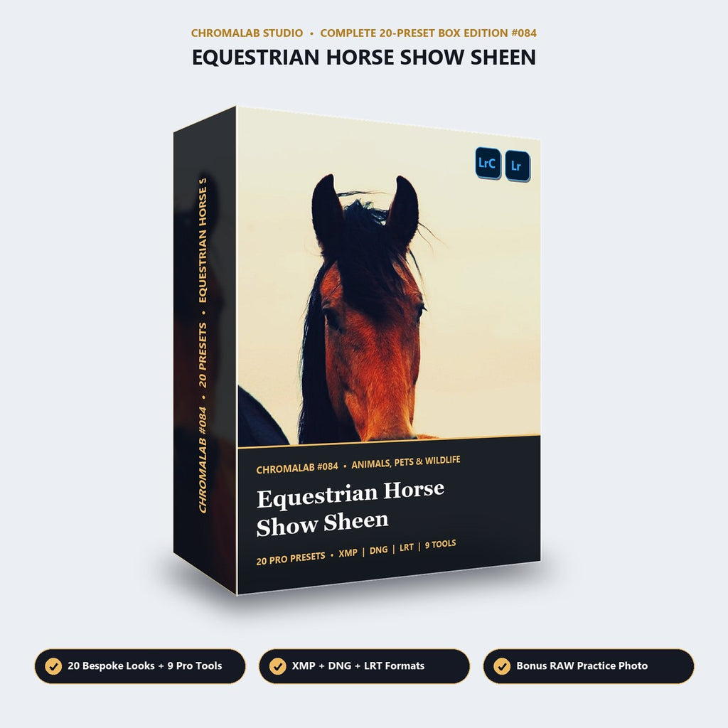 Equestrian Horse Show Sheen - 3D Software Box