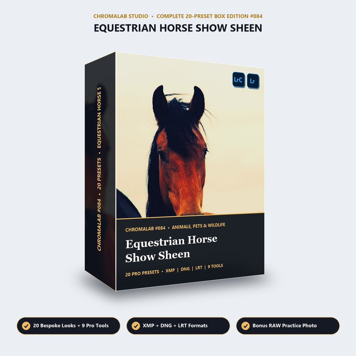 Equestrian Horse Show Sheen - 3D Software Box