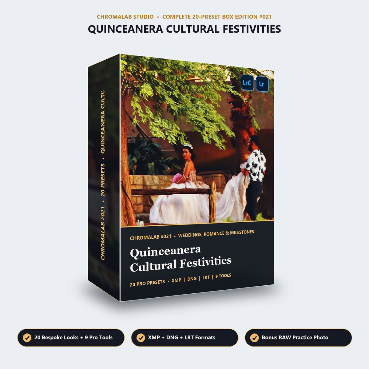 Quinceanera Cultural Festivities - 3D Software Box