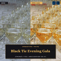 Black Tie Evening Gala — 20 Lightroom Presets (Mobile & Desktop) - Cover
