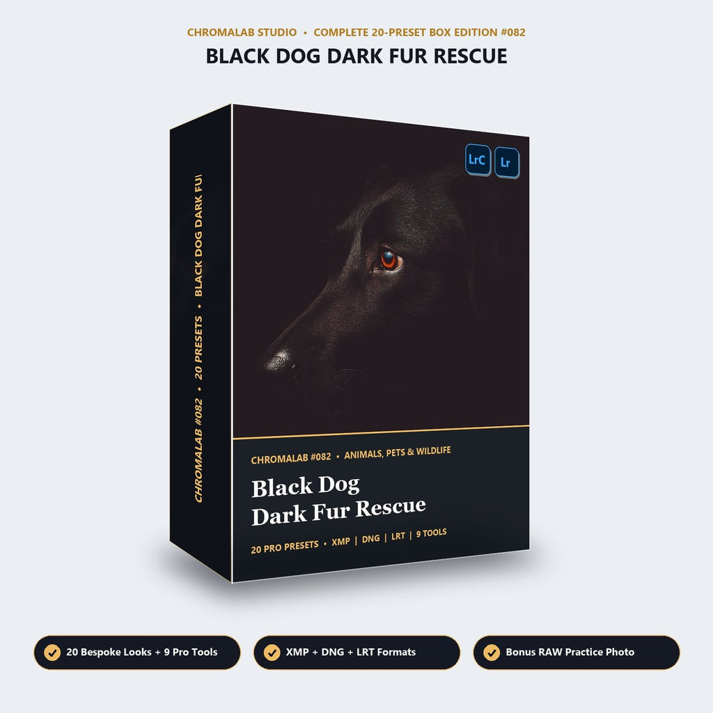 Black Dog Dark Fur Rescue - 3D Software Box