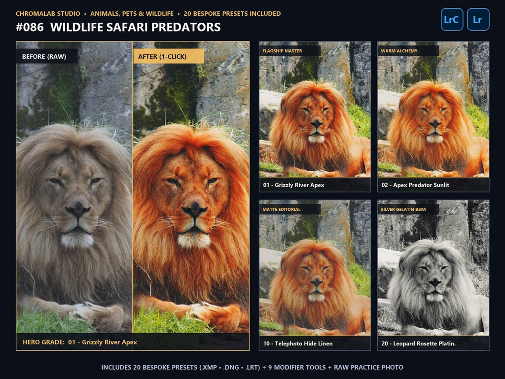 Wildlife Safari Predators - 20-Preset Lookbook & Before/After