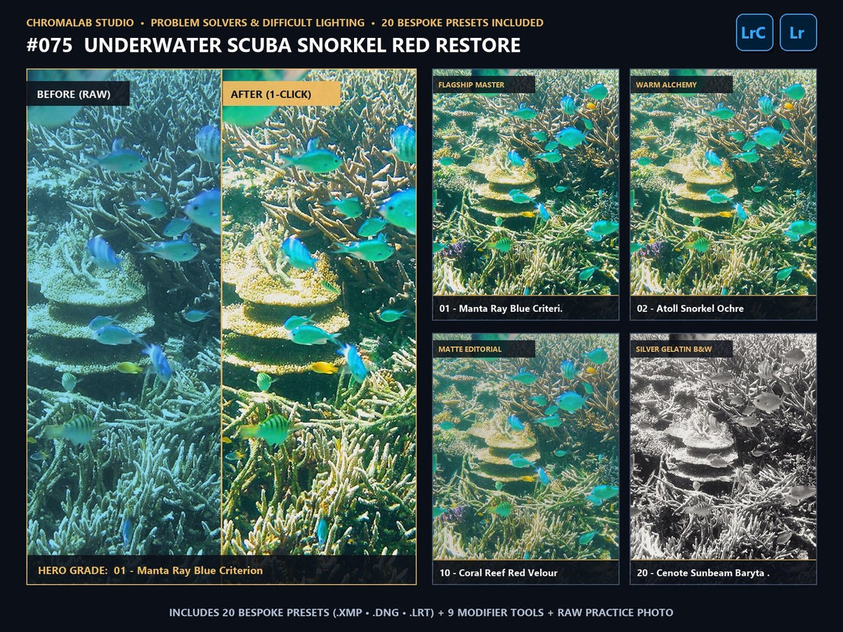 Underwater Scuba Snorkel Red Restore - 20-Preset Lookbook & Before/After