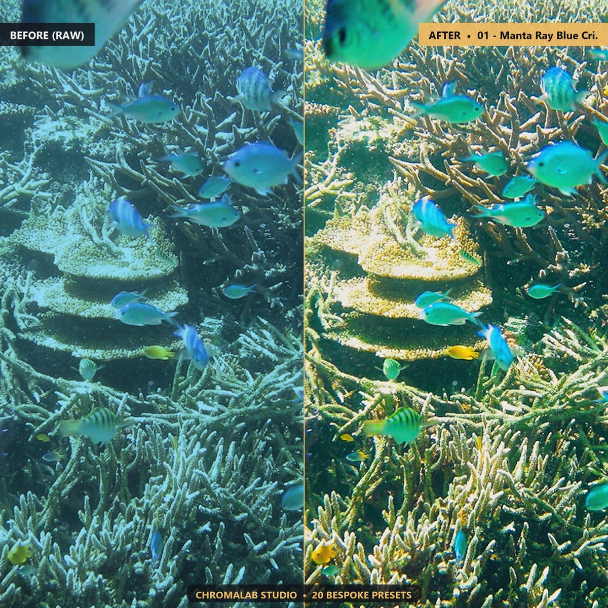 Underwater Scuba Snorkel Red Restore - Before & After Split