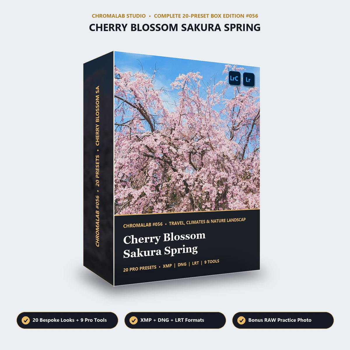 Cherry Blossom Sakura Spring - 3D Software Box