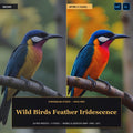 Wild Birds Feather Iridescence — 20 Lightroom Presets (Mobile & Desktop) - Cover