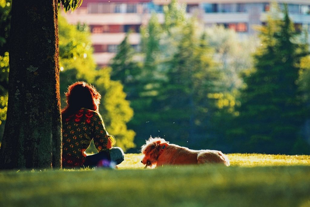AFTER_PRESET