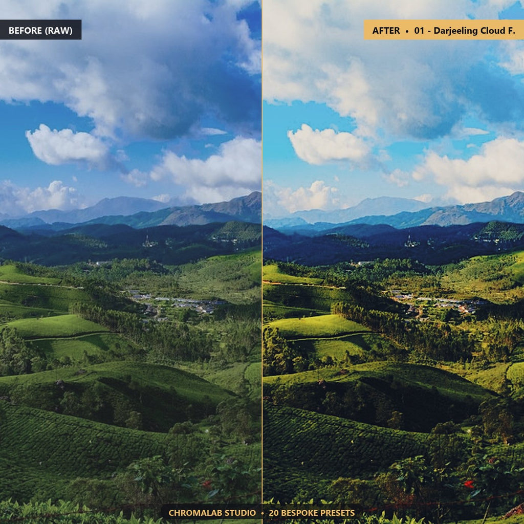 Lush Tea Plantations Misty Hills - Before & After Split