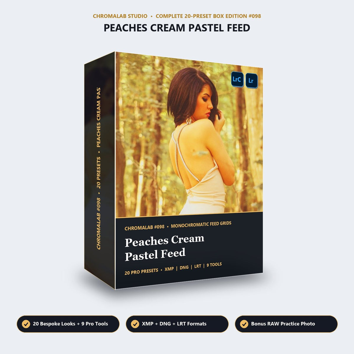 Peaches Cream Pastel Feed - 3D Software Box