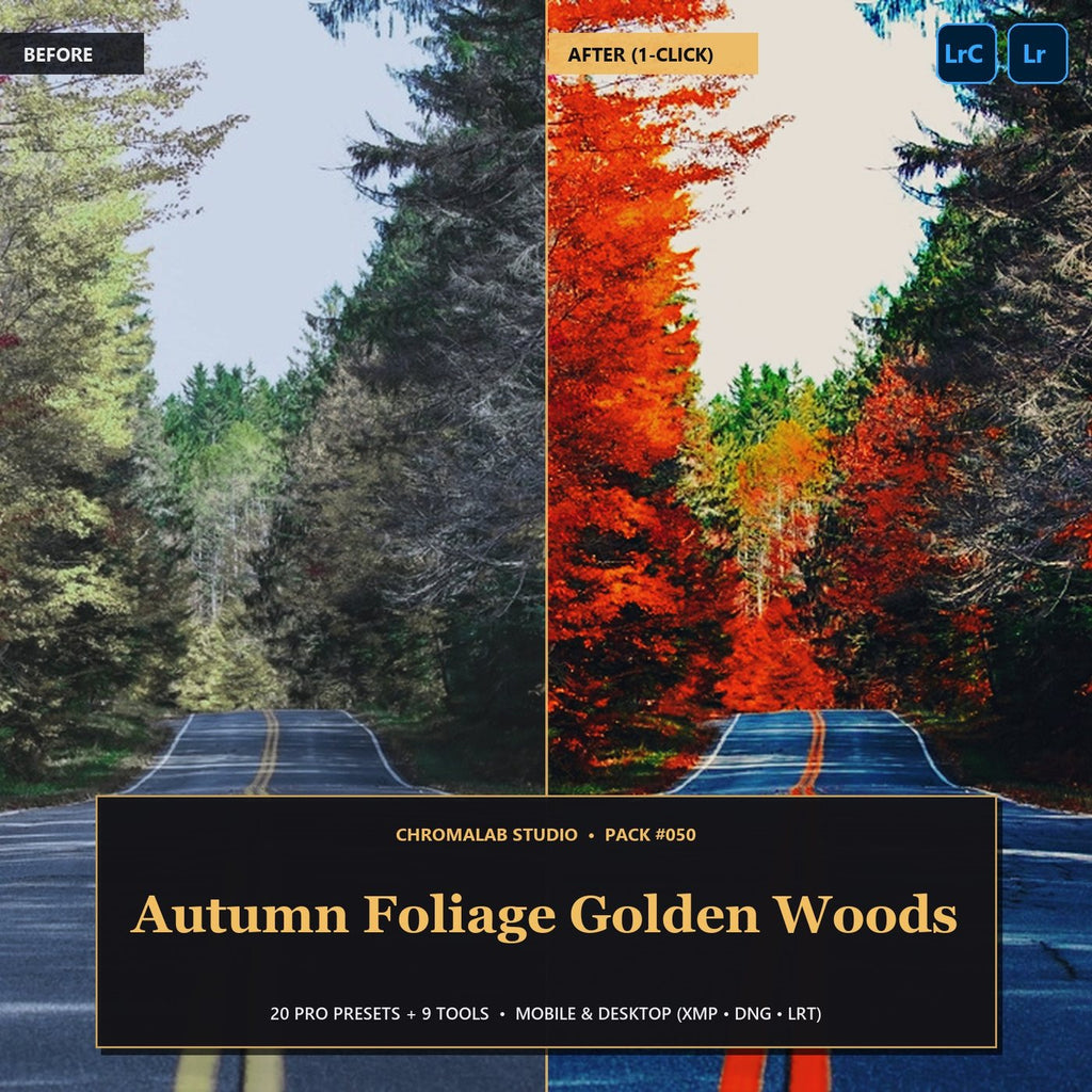 Autumn Foliage Golden Woods — 20 Lightroom Presets (Mobile & Desktop) - Cover