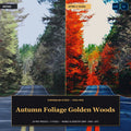 Autumn Foliage Golden Woods — 20 Lightroom Presets (Mobile & Desktop) - Cover