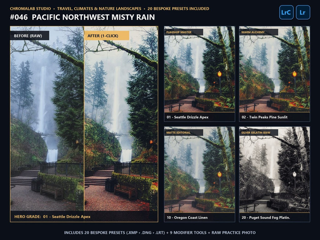 Pacific Northwest Misty Rain - 20-Preset Lookbook & Before/After