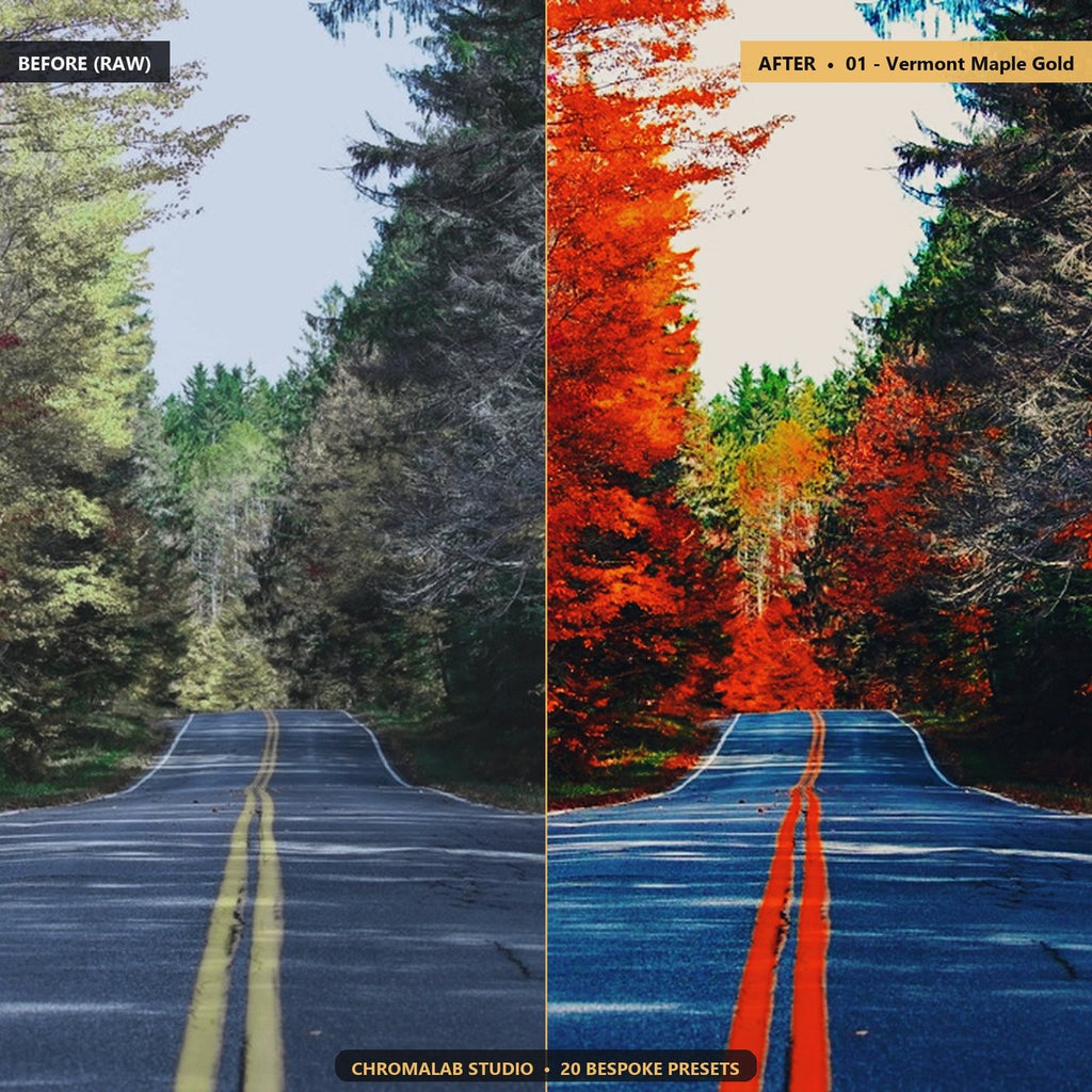 Autumn Foliage Golden Woods - Before & After Split