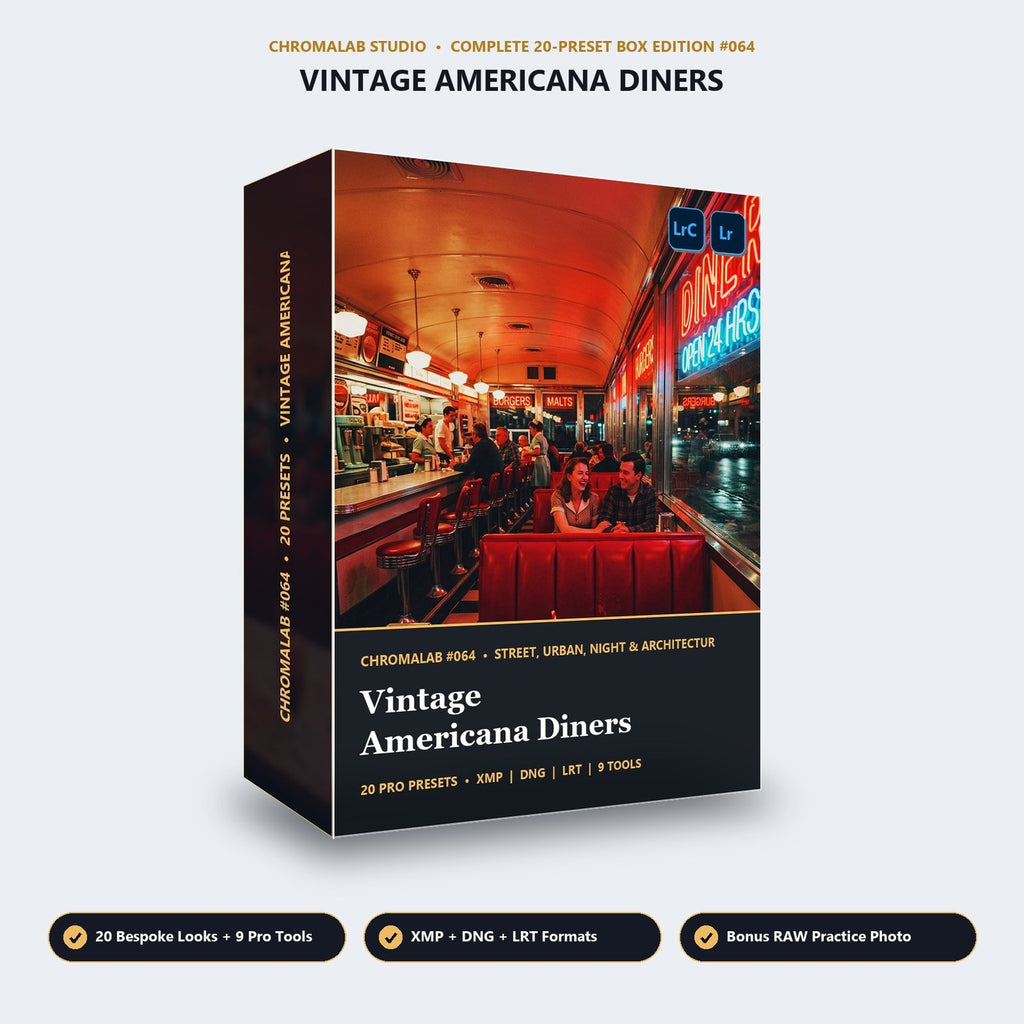 Vintage Americana Diners - 3D Software Box
