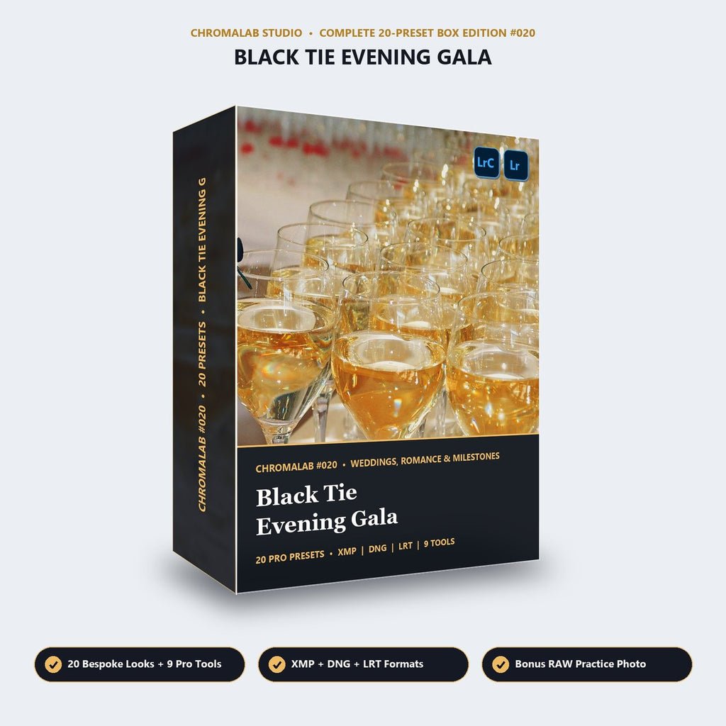 Black Tie Evening Gala - 3D Software Box