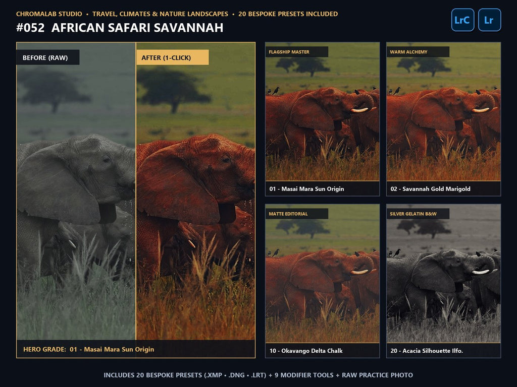 African Safari Savannah - 20-Preset Lookbook & Before/After