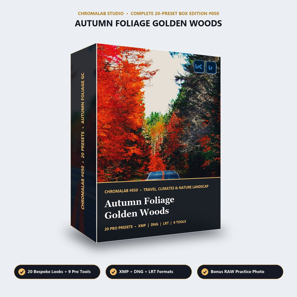 Autumn Foliage Golden Woods - 3D Software Box