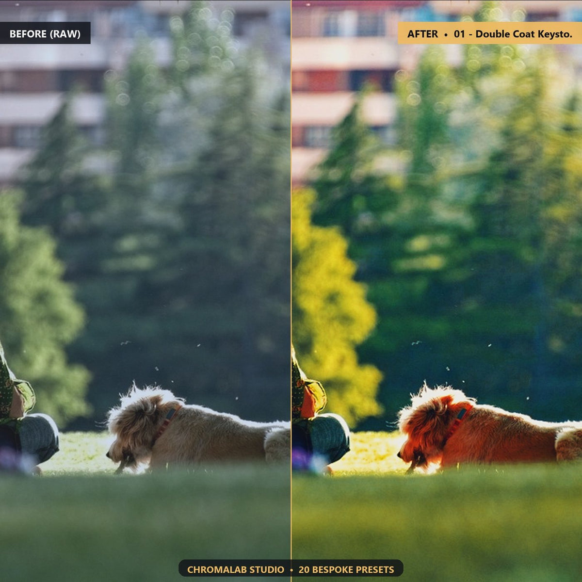 Dog Cat Pet Fur Texture - Before & After Split